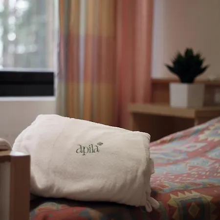 Hotel Kuntoutumiskeskus Apila Kangasala